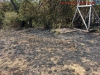 Brand Freifläche groß, Helmstadt, 19.07.2022